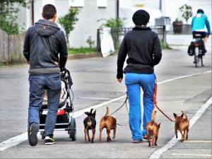 Lucca, provoca due incidenti ed è senza patente: fermato magrebino