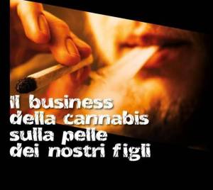 Cannabis light, neuroscienziato mette in guardia politici e famiglie