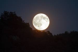 Allarme luna piena. Aumentano gli incidenti stradali