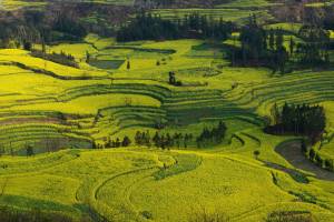 La Cina modifica il clima per combattere la siccità