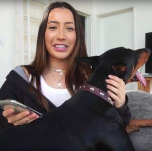 Picchia il cane: Youtuber carica video per sbaglio. Polizia indaga