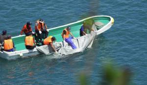 Giappone, nella baia di Taiji inizia l'annuale massacro di delfini