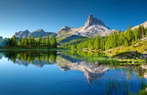 Vinse la causa milionaria, ma si toglie la vita buttandosi nel lago