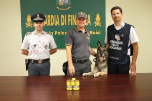 Così i cani Ugo e Alex fiutano la droga nelle parti intime