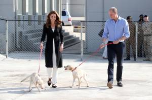 William e Kate al Centro di Addestramento per cani anti-mine