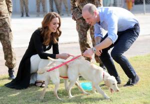 Royal Family, le foto dei Fab Four