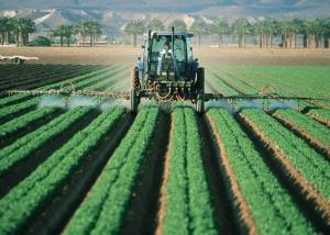 È allarme fondi agricoli: l'Italia rischia di dovere ​ridare 444 milioni all'Ue