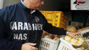 Mancano le condizioni igienico sanitarie, i Nas chiudono una mensa scolastica a Messina