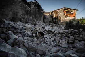 Trema l'Albania: morte e distruzione