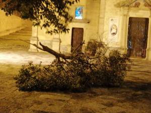 Raffiche di vento a 100 chilometri orari: danni e feriti a Palermo e provincia