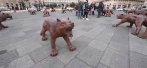 Napoli, vandalizzati i lupi dell’artista Ruowang