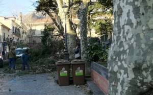 Salerno, cade un albero per il maltempo e uccide un 65enne