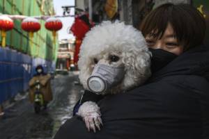 Hong Kong, positivo il primo cane