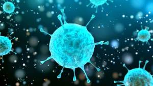 Virus e sistema immunitario: perché si può guarire da soli