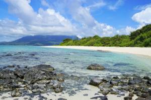 La lotta per sopravvivere sull'isola deserta