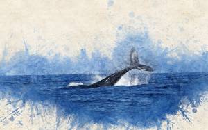 "Tirammo a sorte per essere mangiati": la Essex e la vera storia di Moby Dick