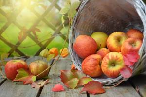 Mela, caratteristiche e virtù del frutto più gustoso