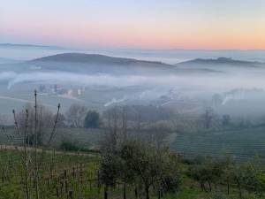 Fuoco alla paglia per proteggere le vigne del Brunello dalle gelate