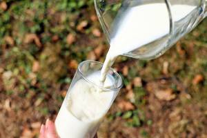 Bere latte non aumenta il colesterolo, lo dimostra la scienza