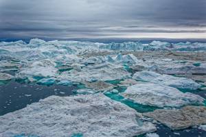 Tornano in vita dopo 24mila anni: il caso dei rotiferi nascosti nei ghiacciai