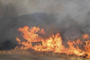 Brucia il Sud: 5 vittime. Inferno Calabria e Sicilia. Siracusa da record: 48,8°