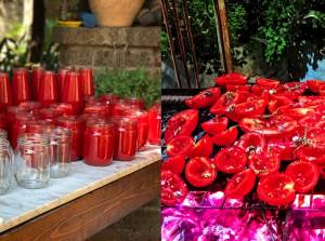 Passata di pomodoro casalinga, ecco i maestri del gusto