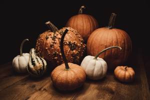 Zucca in autunno, i benefici e le ricette per i nipoti