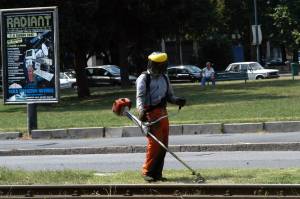 Roma, non c’è il commissario e slitta lo sfalcio dell’erba