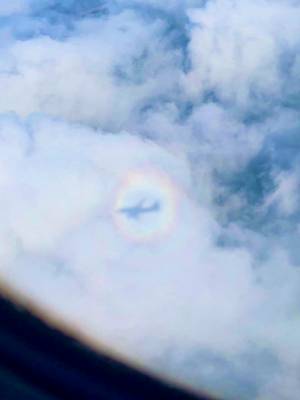 La Gloria del Pilota avvistata a Roma a bordo di un volo AZ per Trieste. Foto di Tiziano Bernard