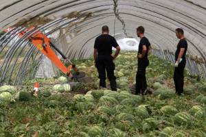 Saman, forse la svolta: resti umani in un sacco due metri sotto terra