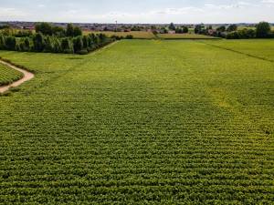 Philip Morris premia gli agricoltori italiani: arriva il bonus contro il caro energia