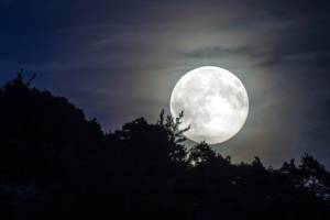 Naso all'insù per la "Luna Rosa": quando vedere il primo plenilunio di primavera