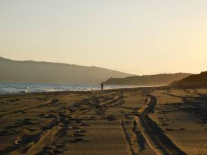 E a Capalbio Fdi espugna la spiaggia dem