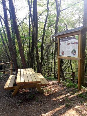 La "Via delle Castagne", un cammino tra natura e storia