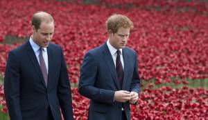 Harry contro William: le recriminazioni della “Riserva” contro “L’erede”