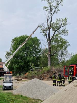 Milano, cede una piattaforma durante una potatura: due operai morti al golf club