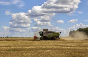 Rischio crisi alimentare: la missione per salvare l'accordo sul grano