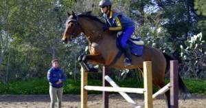 Cade da cavallo poi la tragica fine: morta l'amazzone Margherita Mayer