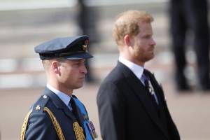 Da “fratello” a "duca di Sussex": perché William ha preso le distanze da Harry