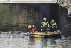 Il cadavere di un uomo trovato nel fiume Lambro