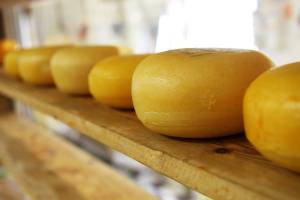 "Come l'eroina", ecco perché il formaggio crea dipendenza: lo studio