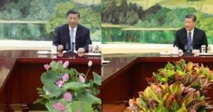 Il dipinto e i fiori: il messaggio segreto di Xi agli Usa