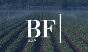 BF S.p.A. apre le porte a nuovi investitori per l'internazionalizzazione di BF International