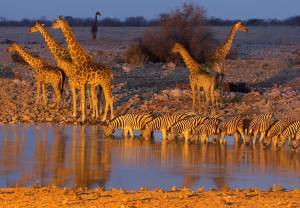 Namibia: 14 indimenticabili giorni per veri viaggiatori