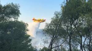 Incendio nel Gargano turisti in fuga dal villaggio: paura per mille persone