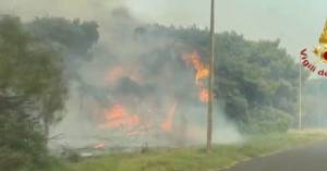 In fiamme il bosco di Baia San Felice, evacuato un villaggio