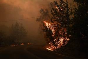 Maxi rogo alla periferia nord di Atene, migliaia di persone evacuate