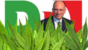 Cannabis, il trucco del Pd per legalizzare le piantine