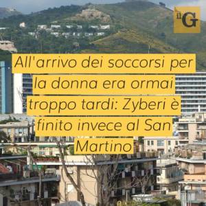 Accoltella e uccide la moglie sul posto di lavoro, poi cerca di uccidersi: grave albanese