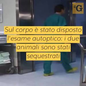 Orrore a Zeme, 64enne sbranata viva da due grossi alani: indagano carabinieri